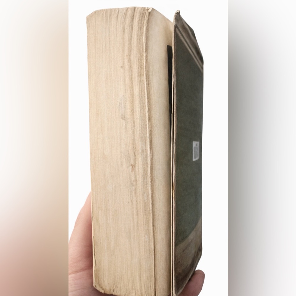 Angela’s Ashes Soft Cover Book - Picture 4 of 6